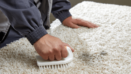 Professional Rug Cleaning Highett